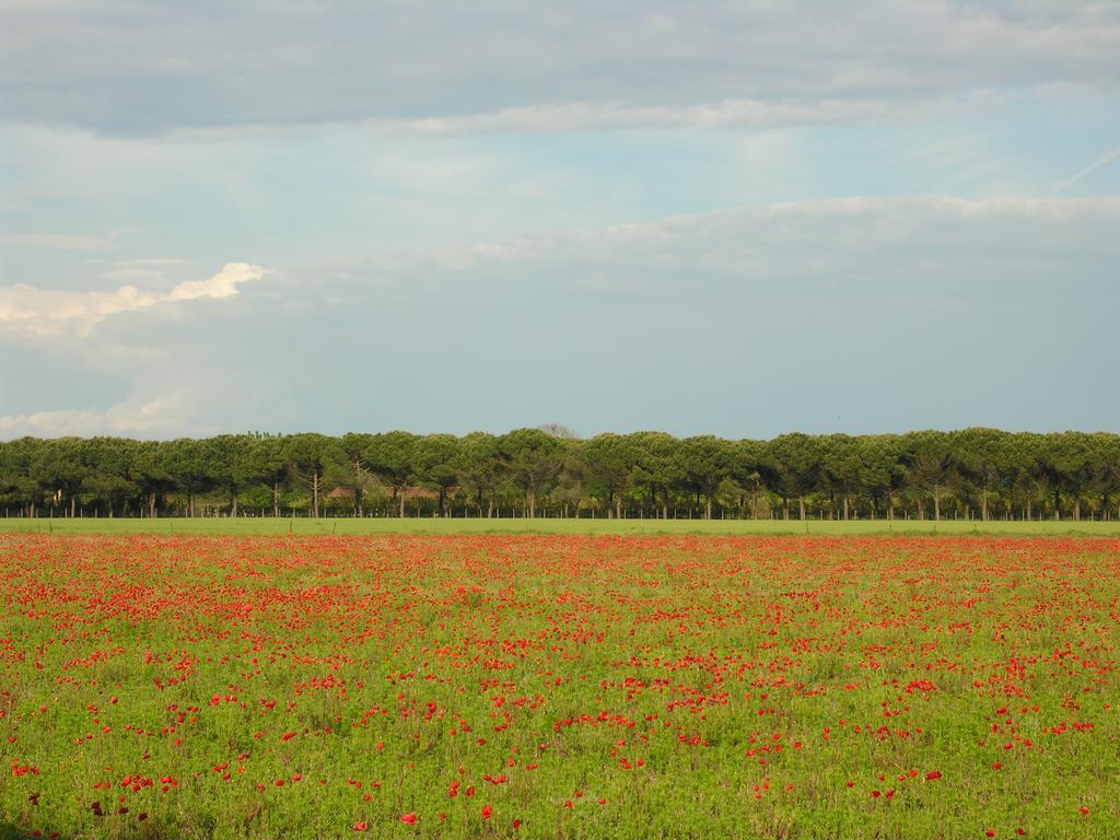 Appartamenti Paola Bibione Exterior foto